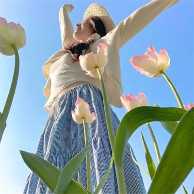 自由鸟